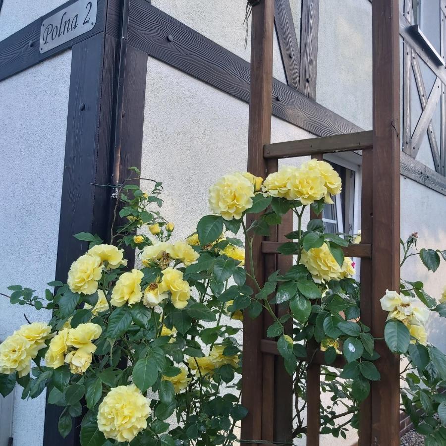 Nadmorskie Apartamenty Ustka Bagian luar foto