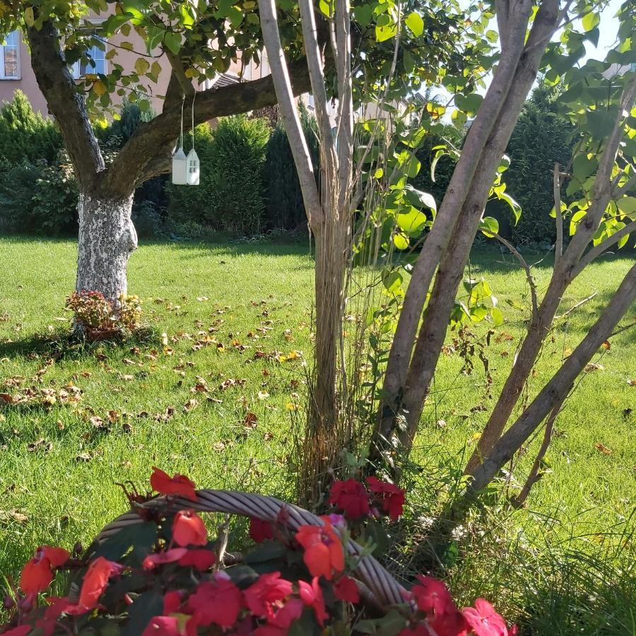 Nadmorskie Apartamenty Ustka Bagian luar foto